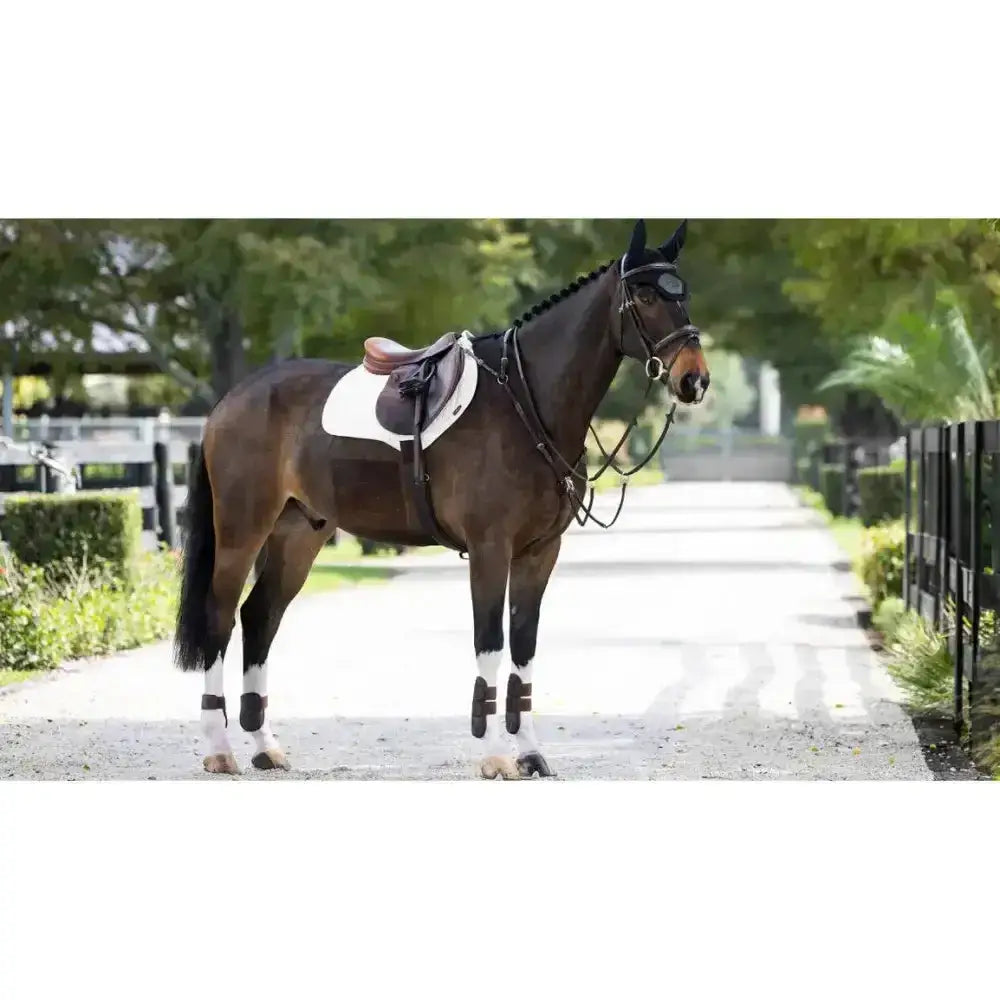 A sleek dark brown horse stands on a sunlit path wearing a lemieux prosorb plain close contact square white saddle pad expertly designed prosorb