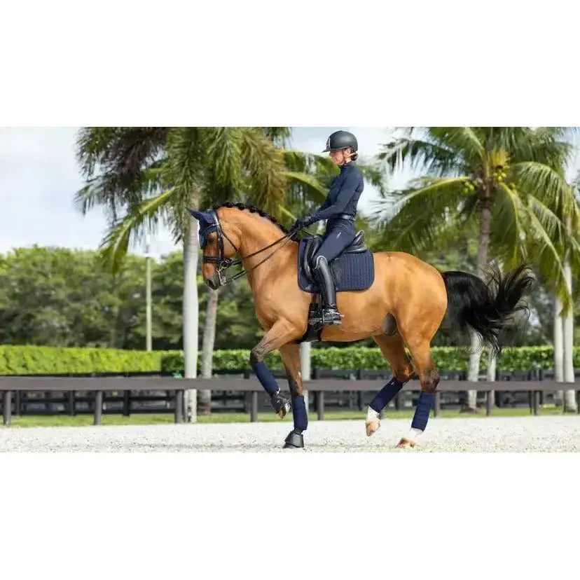 A sleek chestnut horse wearing navy lemieux prosorb plain dressage square with updated foam support and black mane