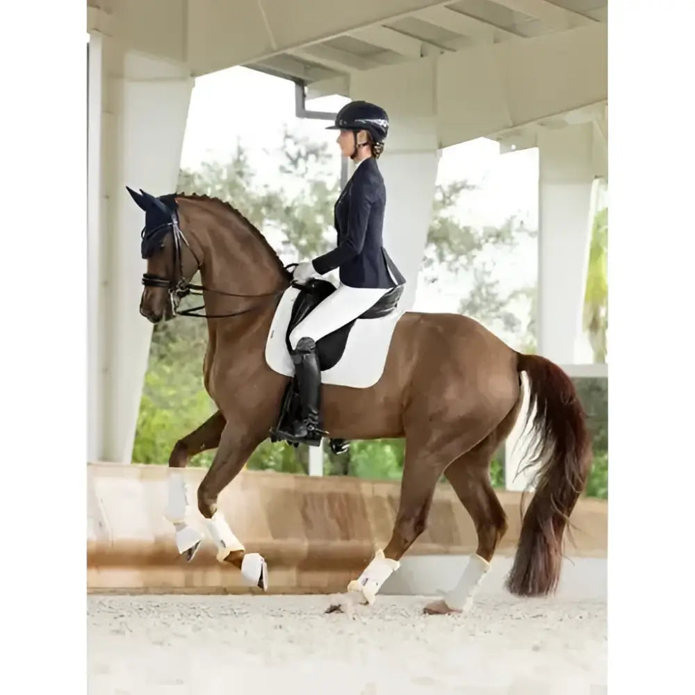 A chestnut horse wearing a lemieux prosorb plain pocket dressage square white with updated foam support