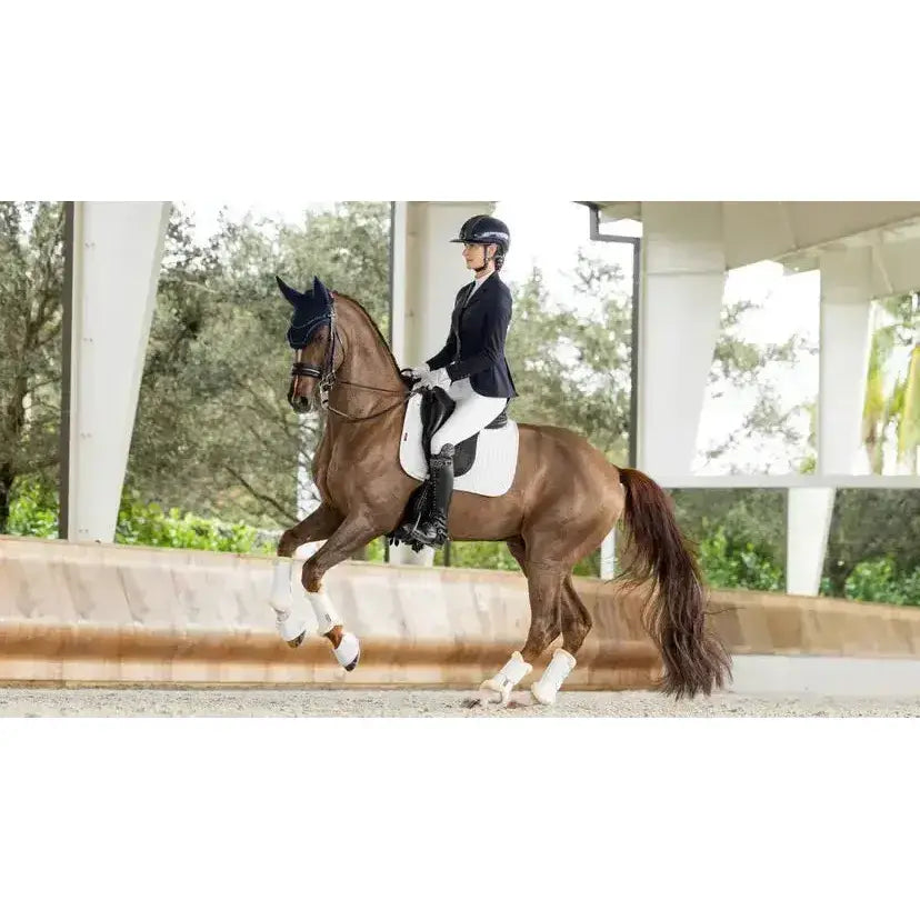 A sleek chestnut horse wearing white lemieux prosorb plain pocket dressage square white with updated foam support