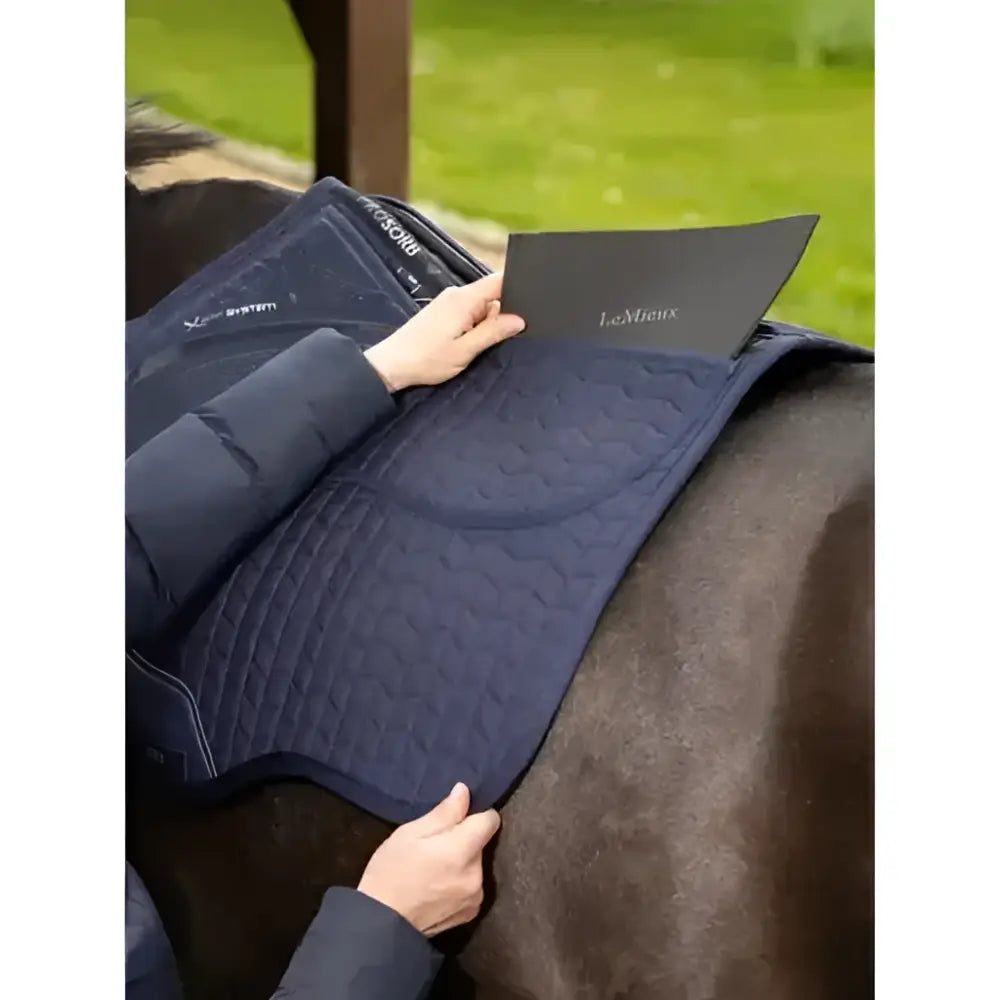 Navy blue quilted lemieux prosorb plain saddle pad with improved high-density foam for expert comfort and fit