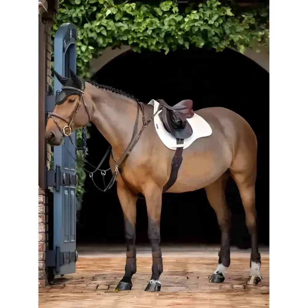 A brown horse wearing a lemieux prosorb plain white gp square with improved high-density foam for comfort