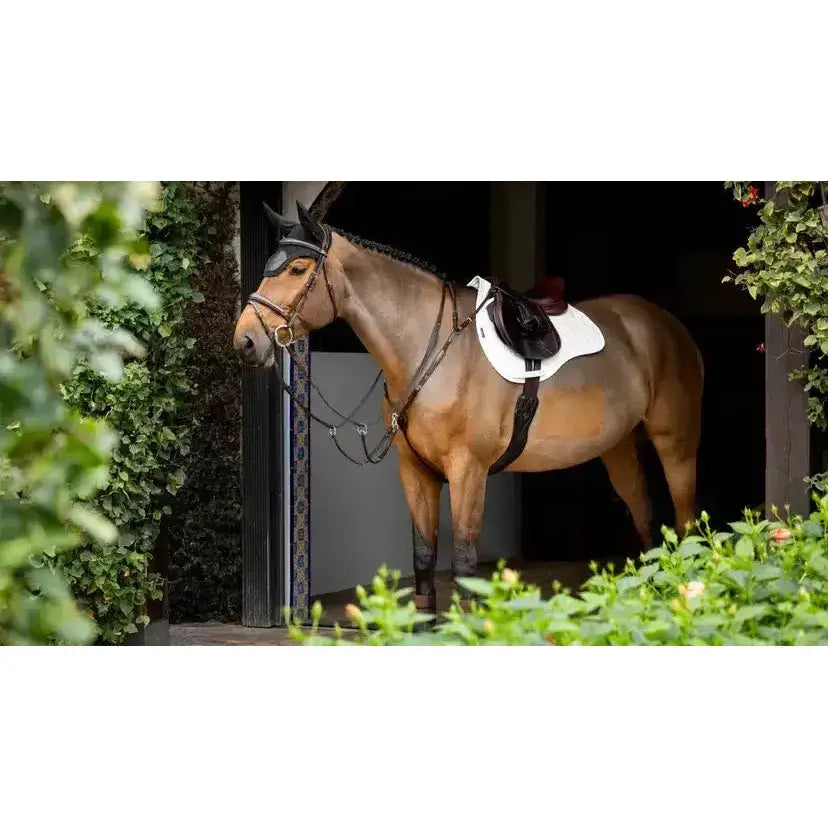 A brown horse wearing an expertly designed lemieux prosorb plain white gp square with improved high-density foam