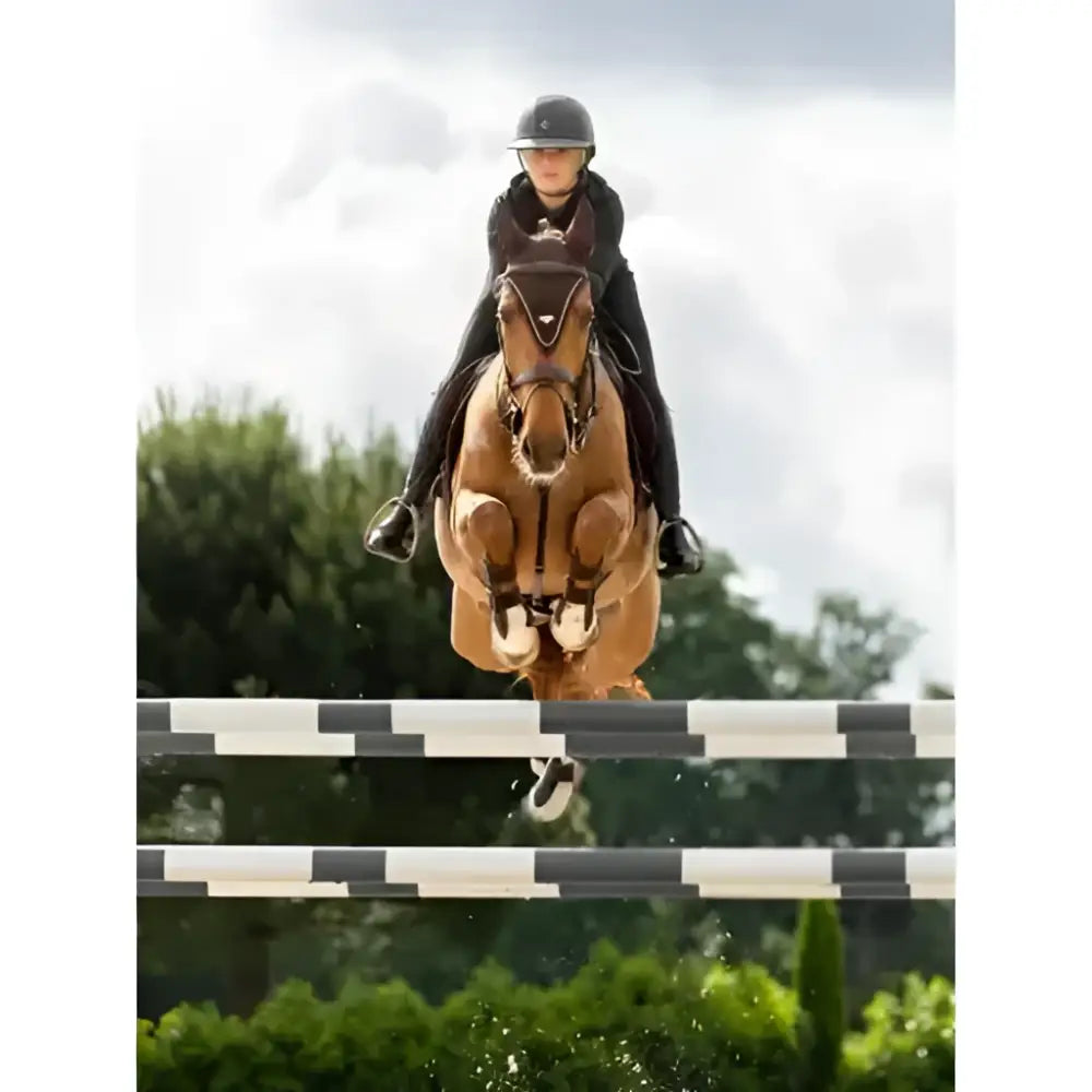 A brown horse wearing a lemieux powerfly fly hood brown with a black bridle jumps over striped poles