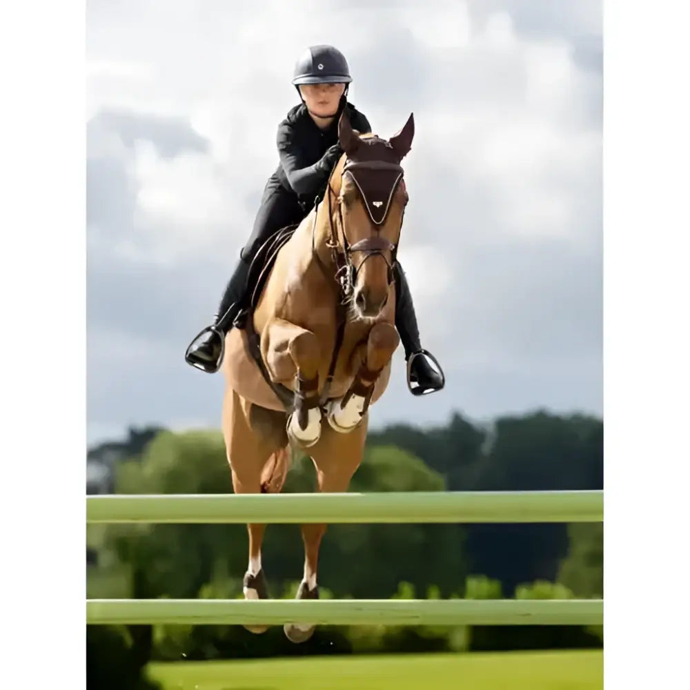 A sleek black lemieux powerfly riding helmet with a glossy finish and subtle ventilation slots for comfort