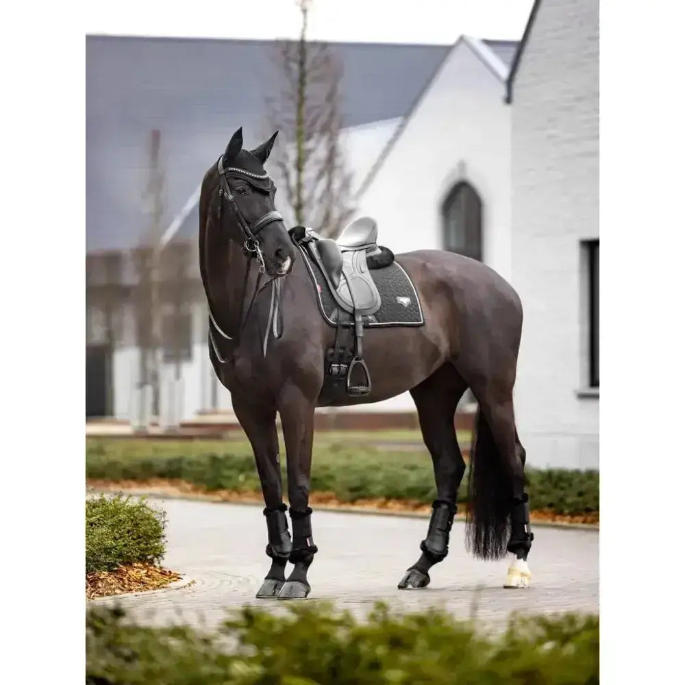A sleek black horse wearing a lemieux puissance suede dressage square with sophisticated cord edging in black