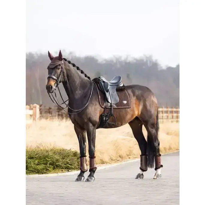 A dark brown horse with a sleek coat stands on a path wearing a black saddle and lemieux puissance suede dressage square with sophisticated cord edging