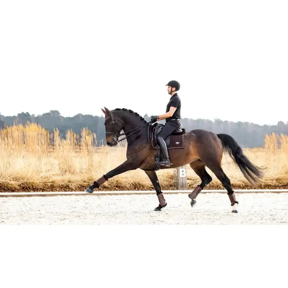 A sleek black horse wearing the lemieux puissance suede dressage square brown with sophisticated cord edging