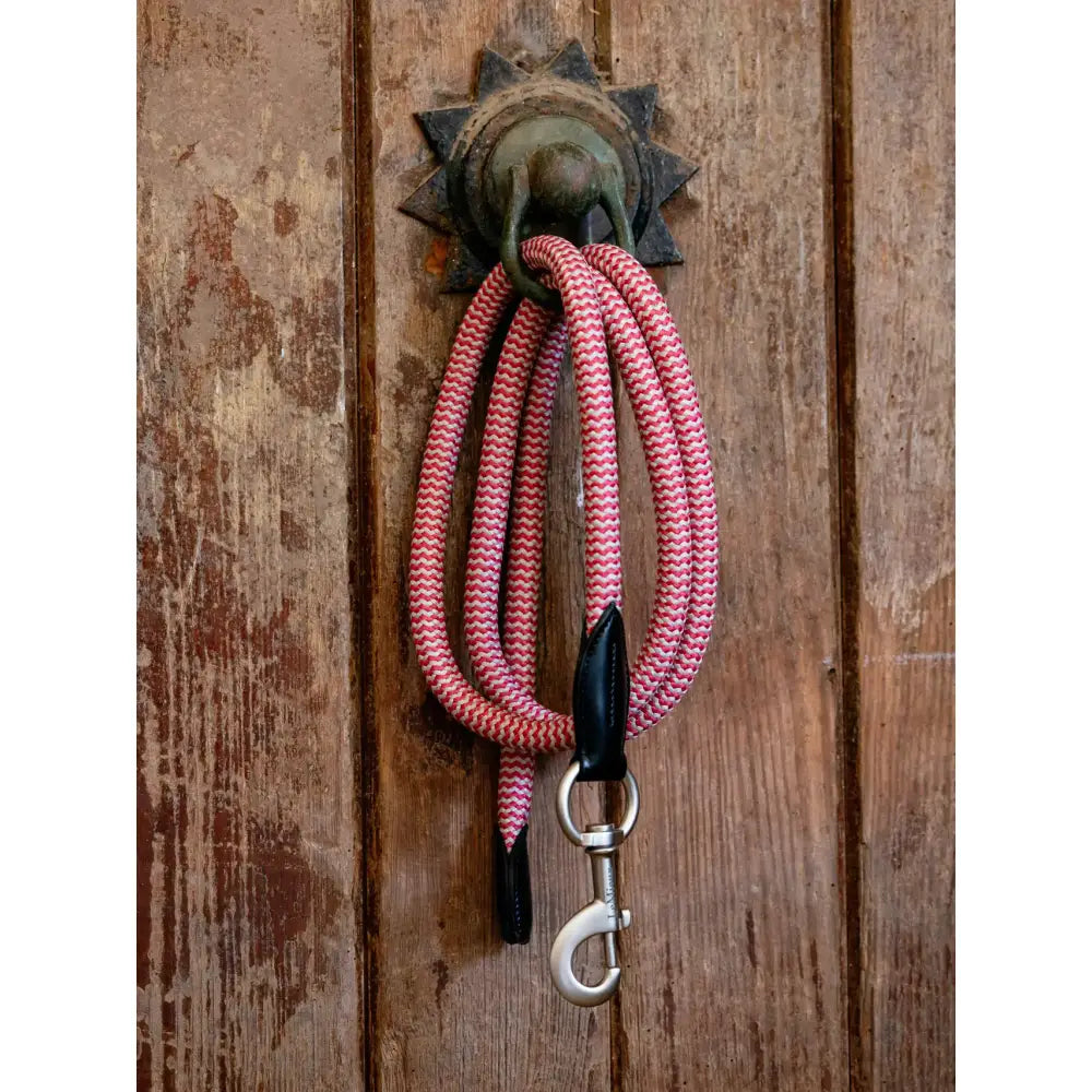 A pink braided lemieux ropella leadrope cranberry with black leather ends and silver clasp hanging from brass door knocker