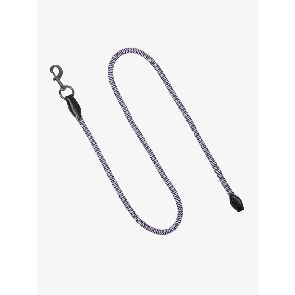 Gray and black braided rope leash with metal clasp and black plastic end cap from lemieux ropella leadrope lilac