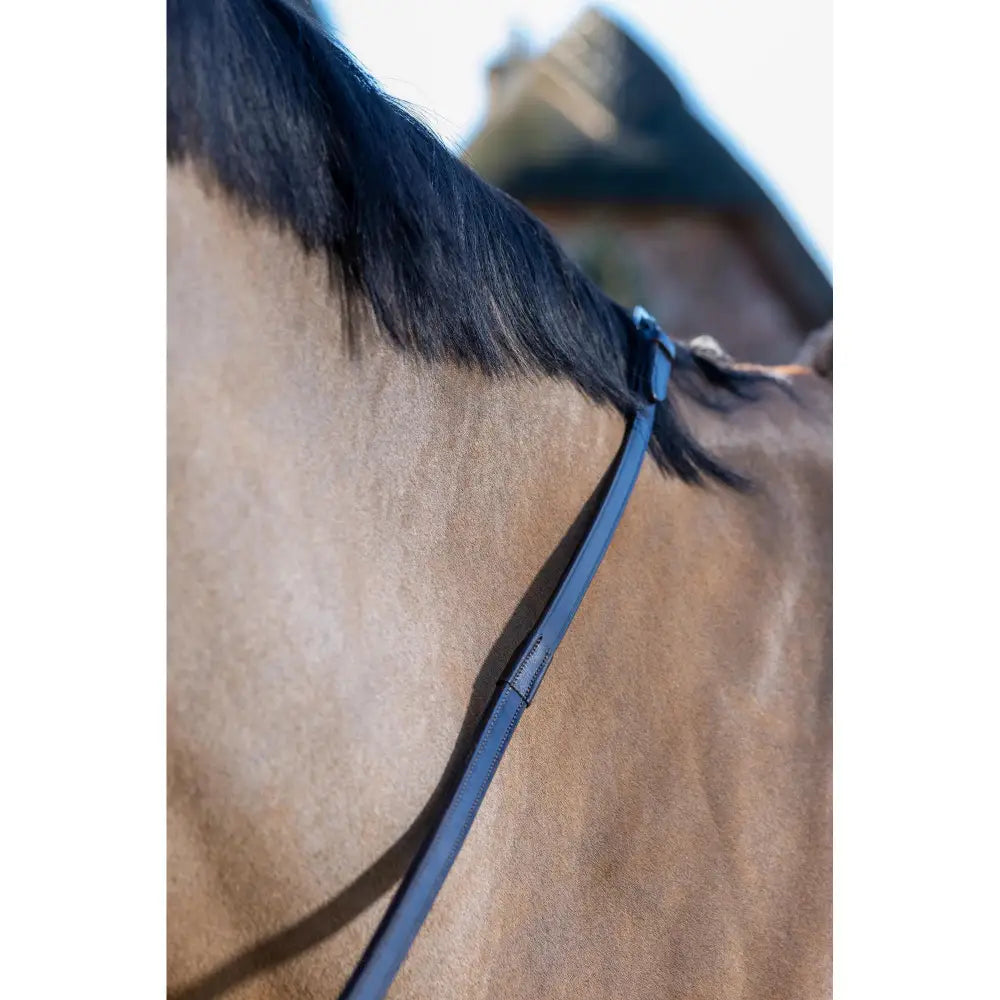Black leather horse bridle strap with sleek finish for lemieux rubber grip brown silver reins continental use