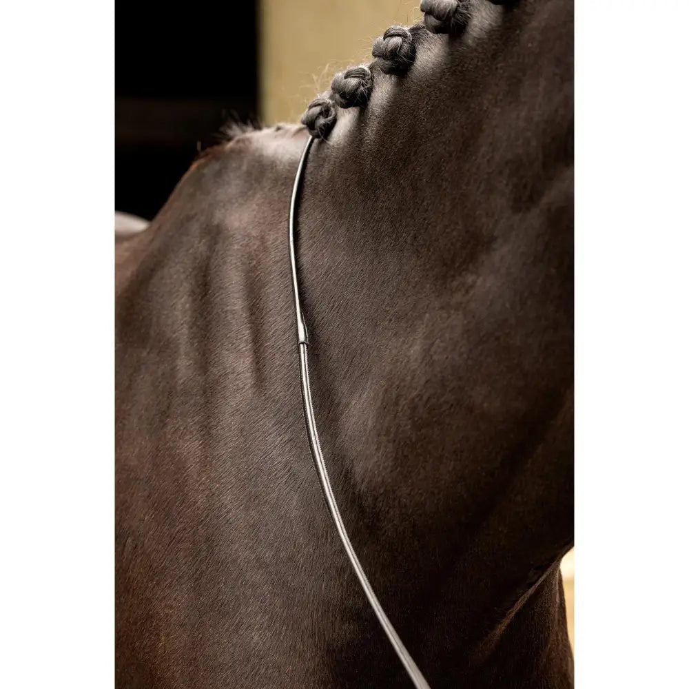 A sleek silver lemieux rubber half-lined rein strap with smooth polished finish and black lining