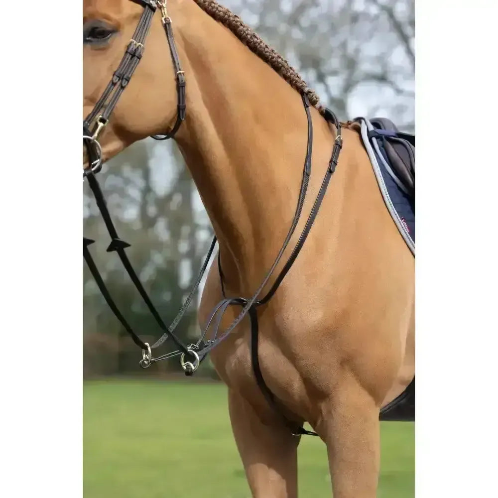 LeMieux Running Martingale Havana / Brass Cob Running Martingales