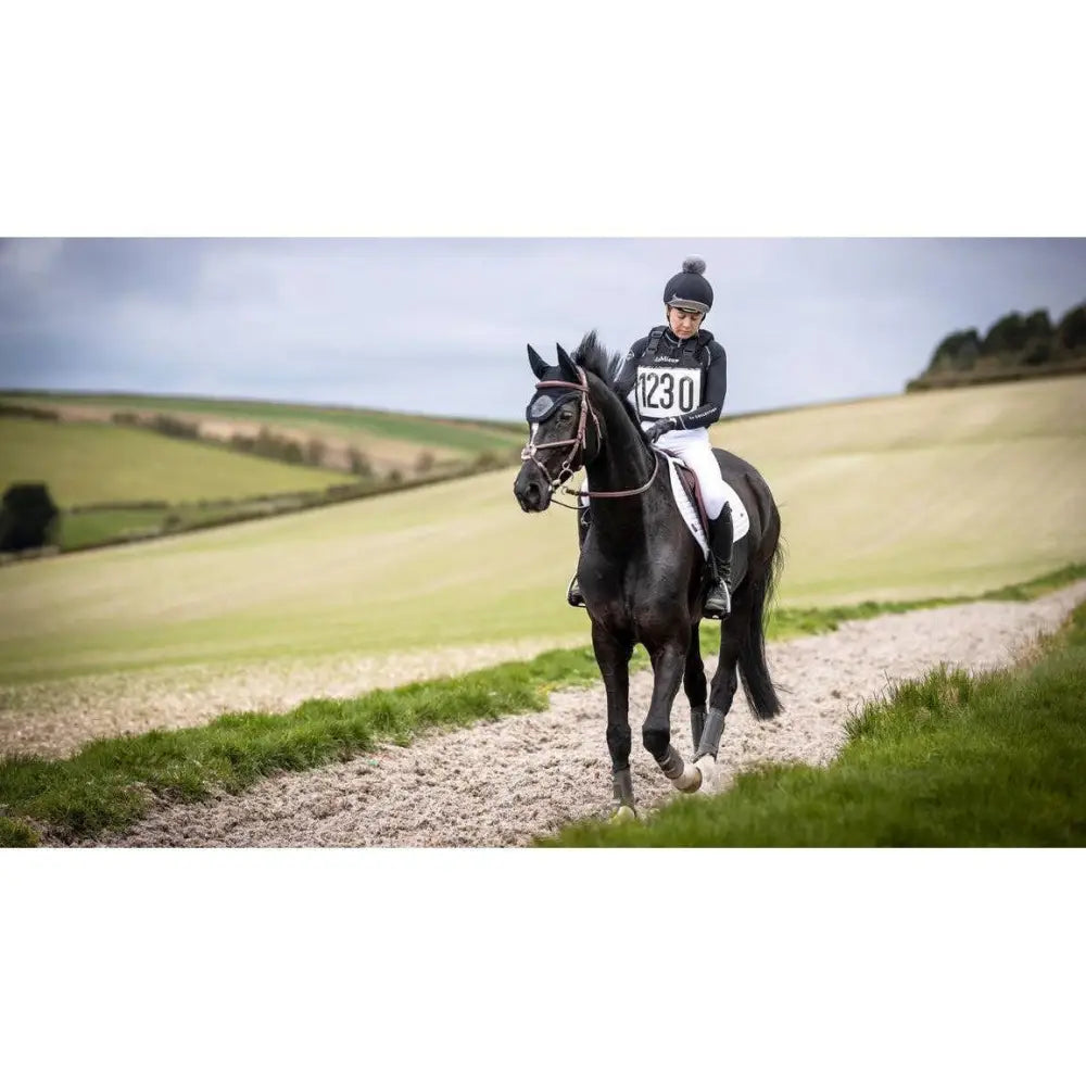 Black horse wearing lemieux self-cool close contact square arctic white with glossy coat and racing number 1230