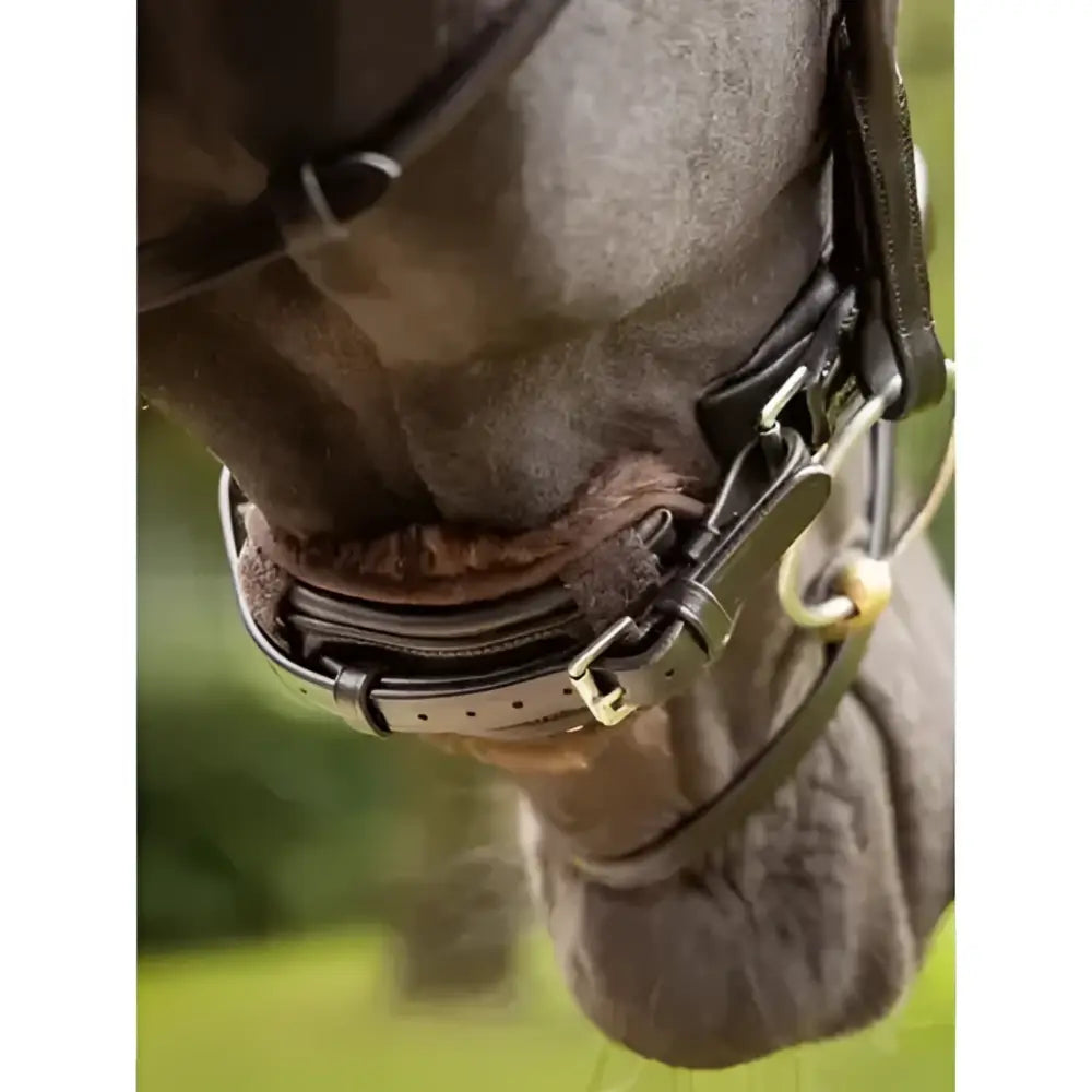 Black leather horse hoof protector with silver hardware and padded strap shown from back lemieux simuwool chin guard