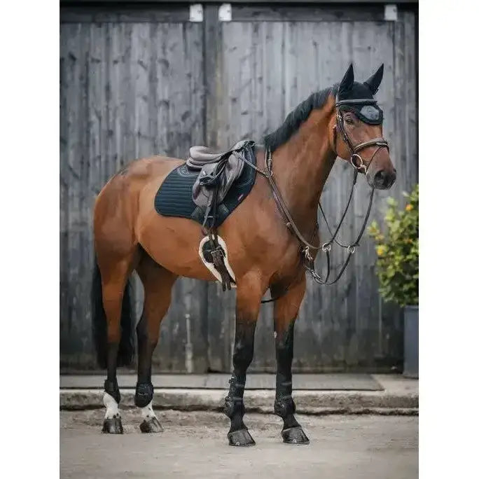 A sleek chestnut horse wearing a black lemieux soft shell anti slip close contact square saddle pad against wood backdrop