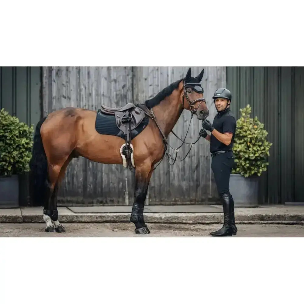A sleek black lemieux soft shell anti slip close contact square fitted on a chestnut horse with padded seat and straps