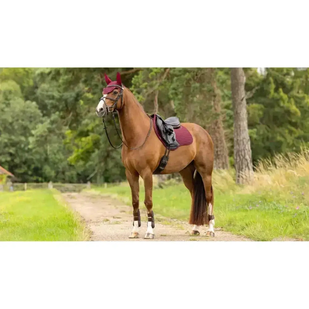 A chestnut horse wearing a lemieux soft shell anti slip close contact square burgundy saddle pad with a black saddle