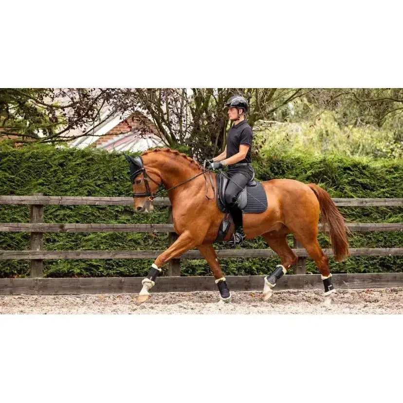 A chestnut horse wearing black lemieux soft shell anti slip dressage square with protective leg wraps in a fenced arena