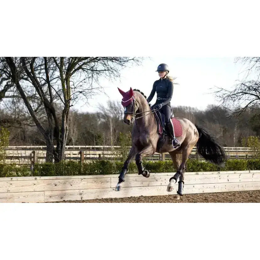 A sleek dark gray horse wearing burgundy lemieux soft shell anti slip dressage square with elegant riding gear