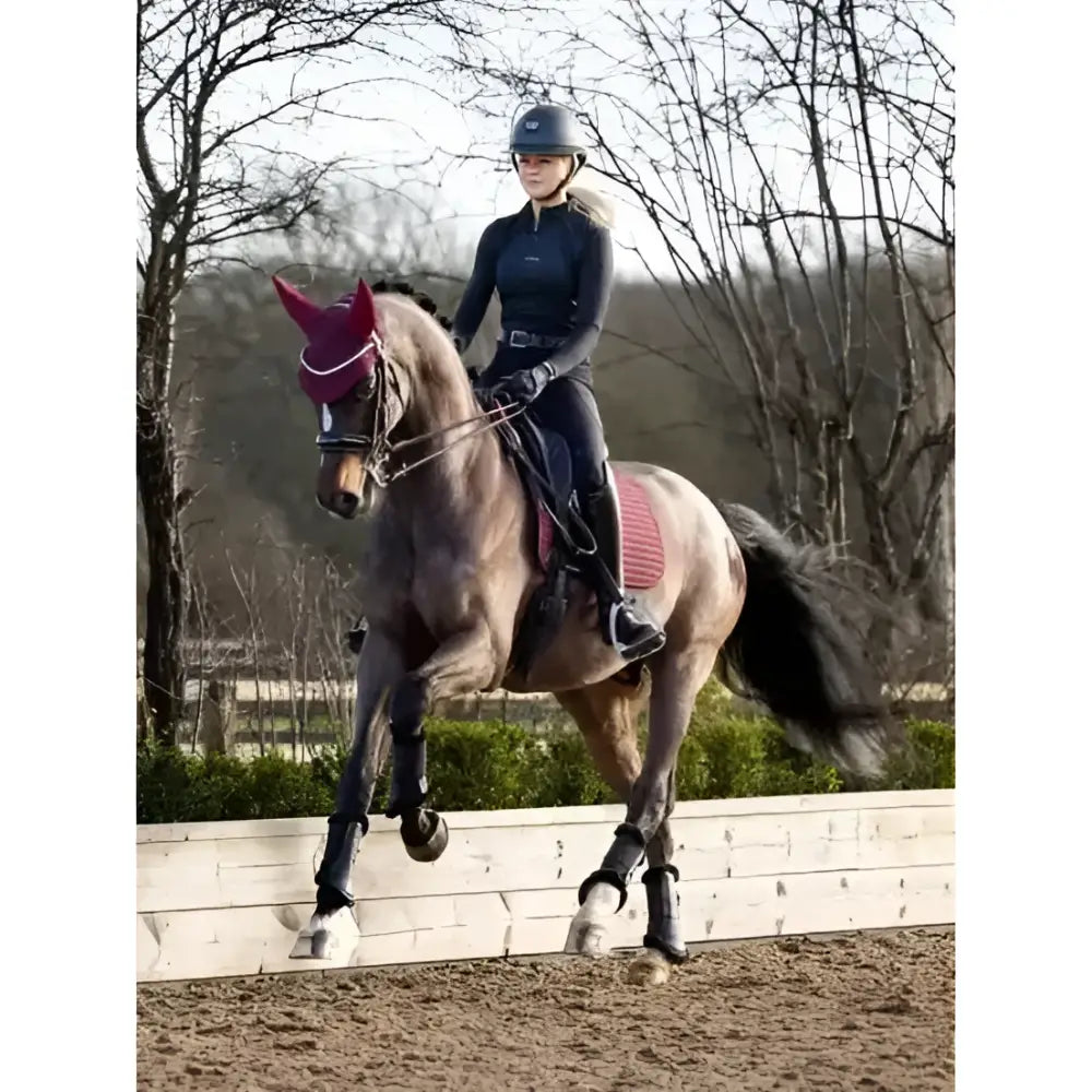 A horse wearing a lemieux soft shell maroon ear cover with anti slip textured fabric and decorative stitching