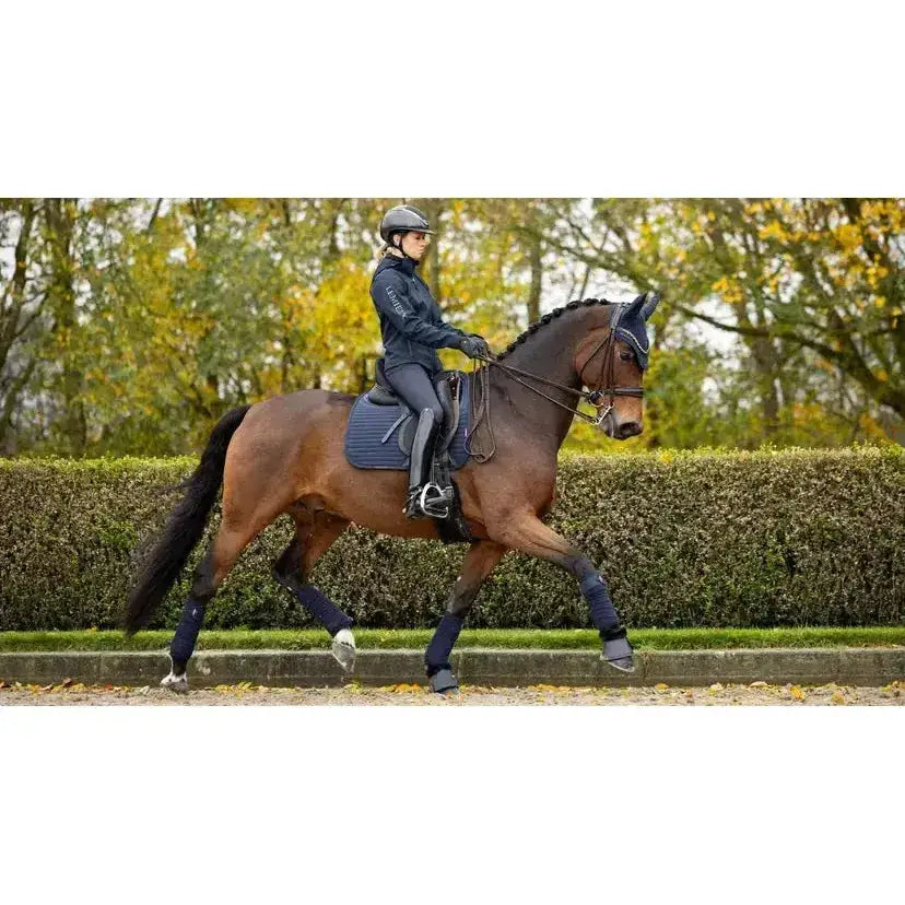 A dark brown horse wearing lemieux soft shell navy blue soft shell anti slip dressage square and black leg wraps
