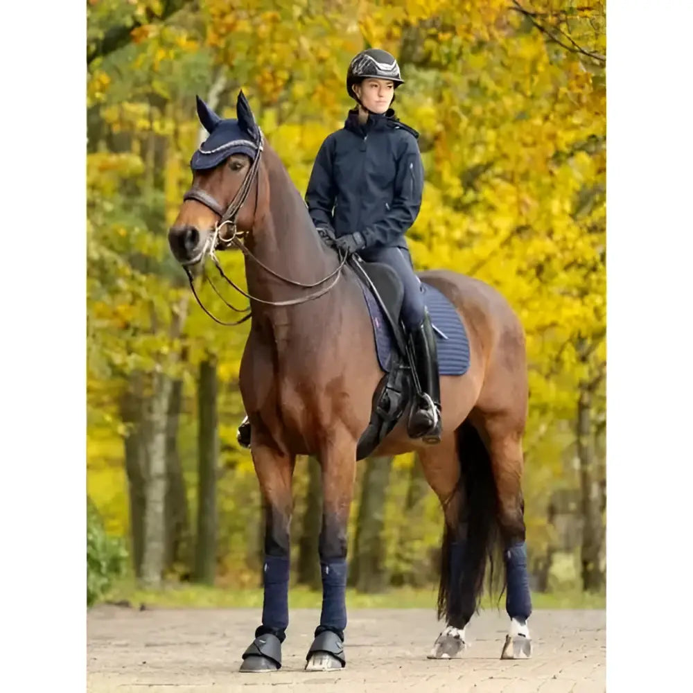 A brown horse wearing navy lemieux soft shell anti slip dressage square standing calmly in an autumn forest