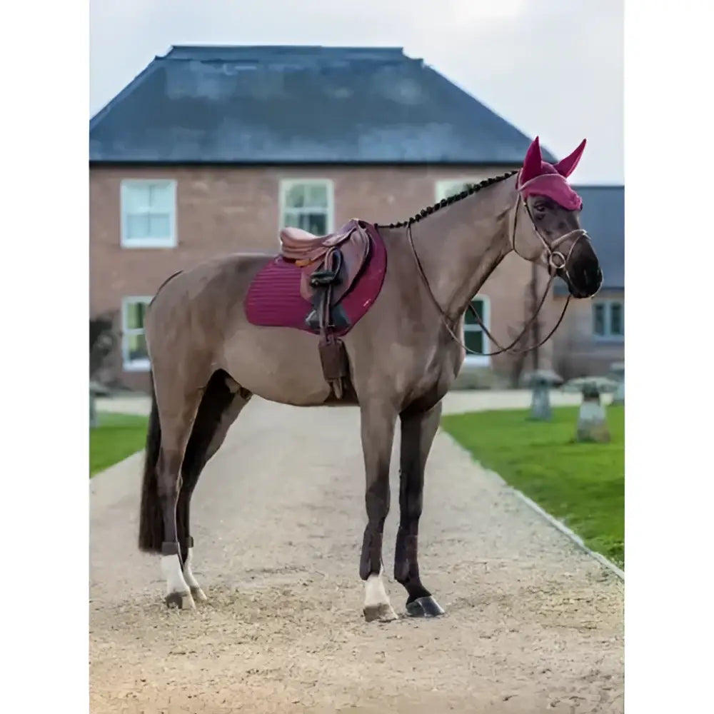 A dusty gray horse wearing a vibrant magenta lemieux soft shell anti slip eurojump square saddle pad in burgundy