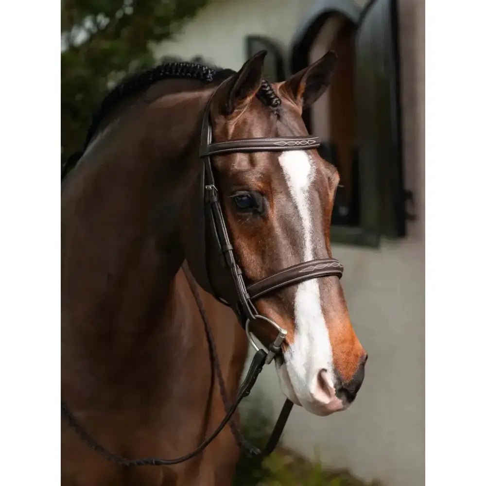 Brown horse wearing lemieux stitched hunter bridle with black leather and laced reins havana silver details