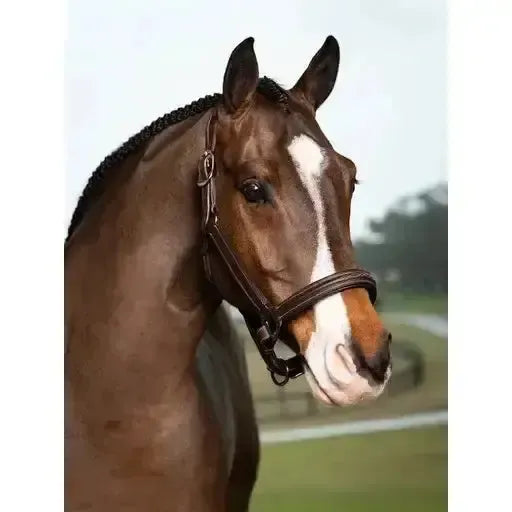 LeMieux Stitched Hunter Headcollar Havana Havana Pony Leather Headcollars