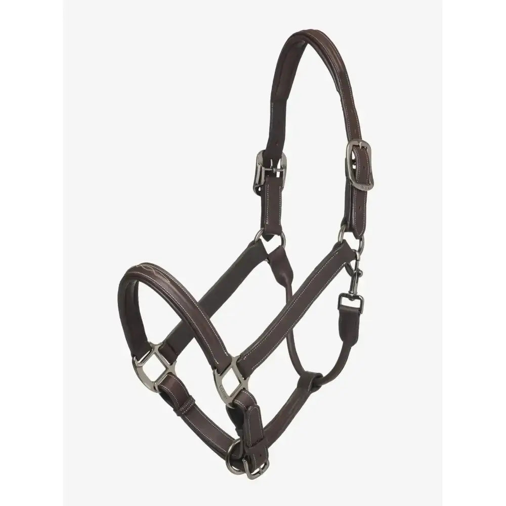 Brown leather lemieux stitched hunter headcollar havana with silver buckles and metal hardware for riding