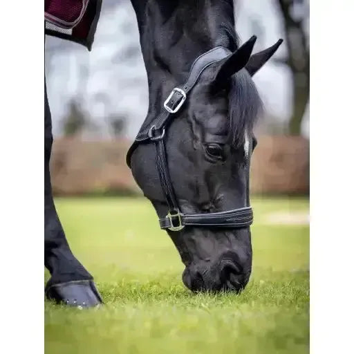 LeMieux Stitched Leather Headcollar Black Cob Black Leather Headcollars