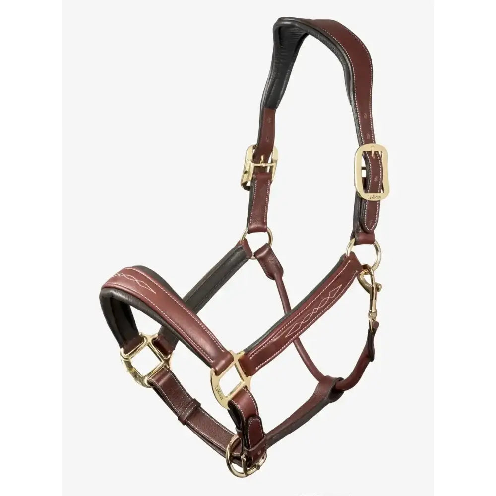 Brown lemieux stitched leather padded headcollar with gold metal buckles and detailed stitching beautifully crafted