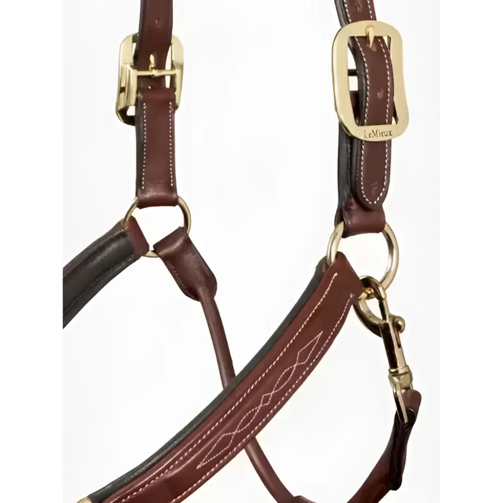 Brown lemieux stitched leather padded headcollar with gold-tone hardware and detailed stitching for horses