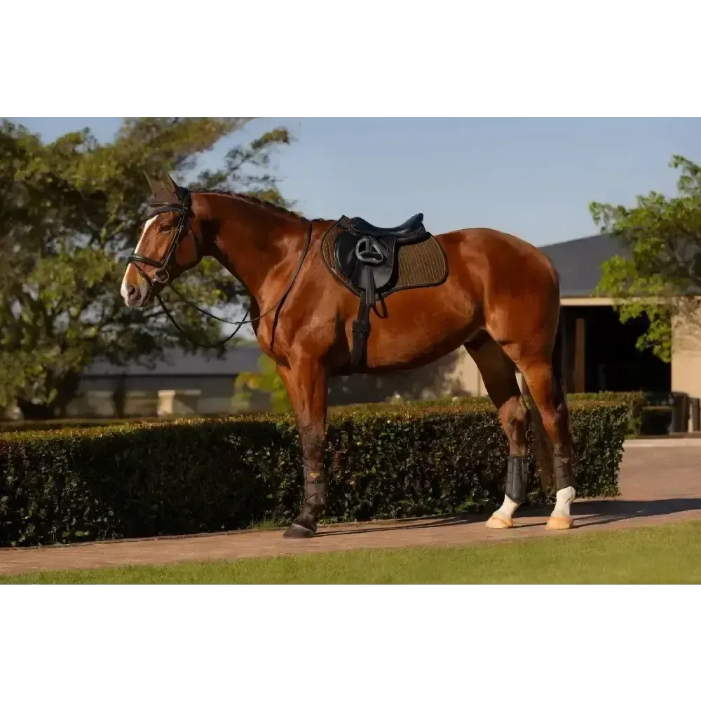 Lemieux Suede Close Contact Square Alpine Small/Medium Alpine Saddle Pads