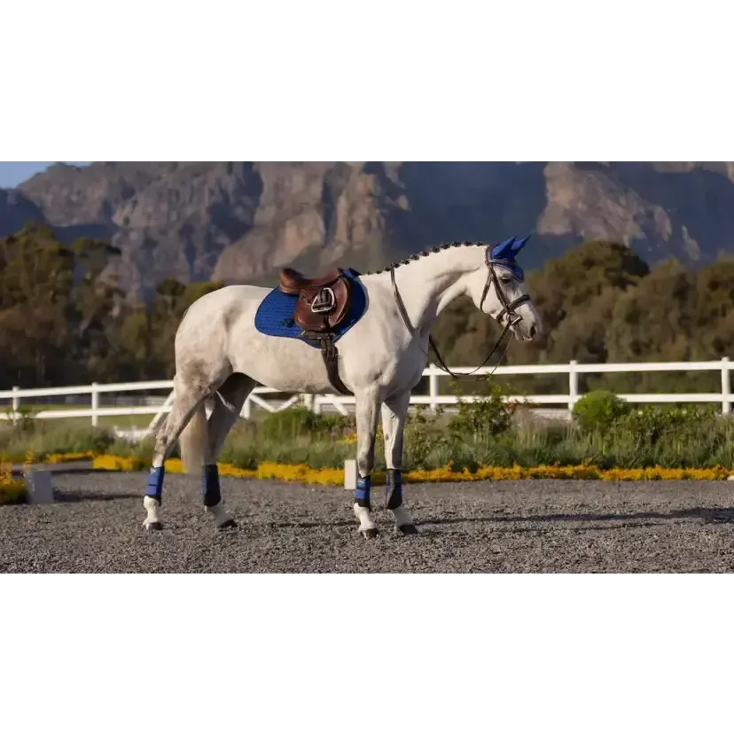 LeMieux Suede Close Contact Square Benetton Benetton Small/Medium Saddle Pads