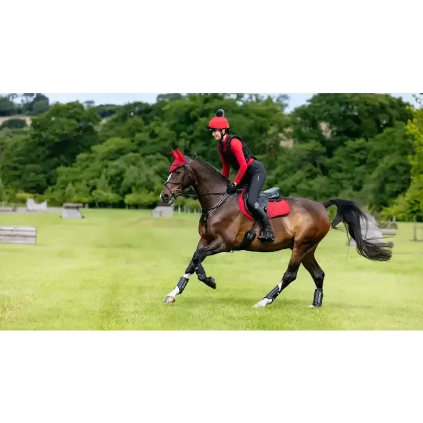 LeMieux Suede Close Contact Square Chilli Chilli Small/Medium Saddle Pads
