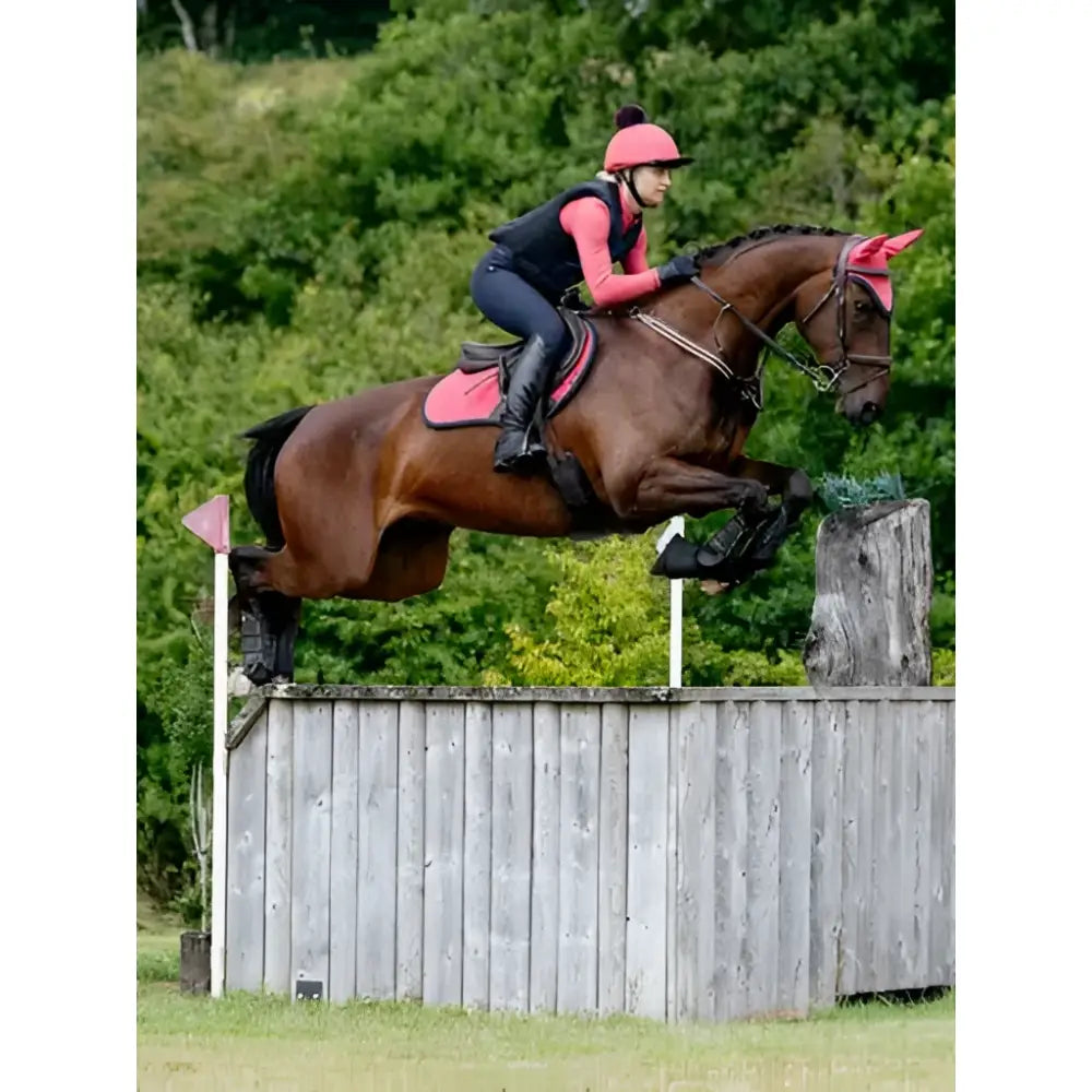 A brown horse jumps over a wooden obstacle using a lemieux suede close contact square cranberry saddle pad