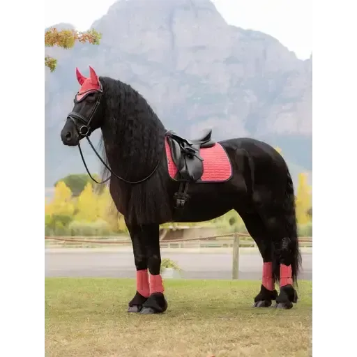 Lemieux Suede Dressage Square Cranberry Cranberry Small/Medium Dressage Saddle Pads