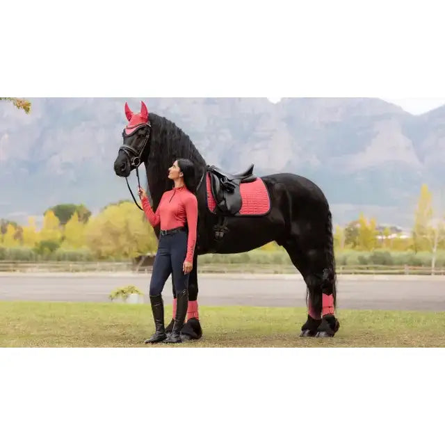 Black horse wearing lemieux suede dressage cranberry square saddle pad with red protective gear