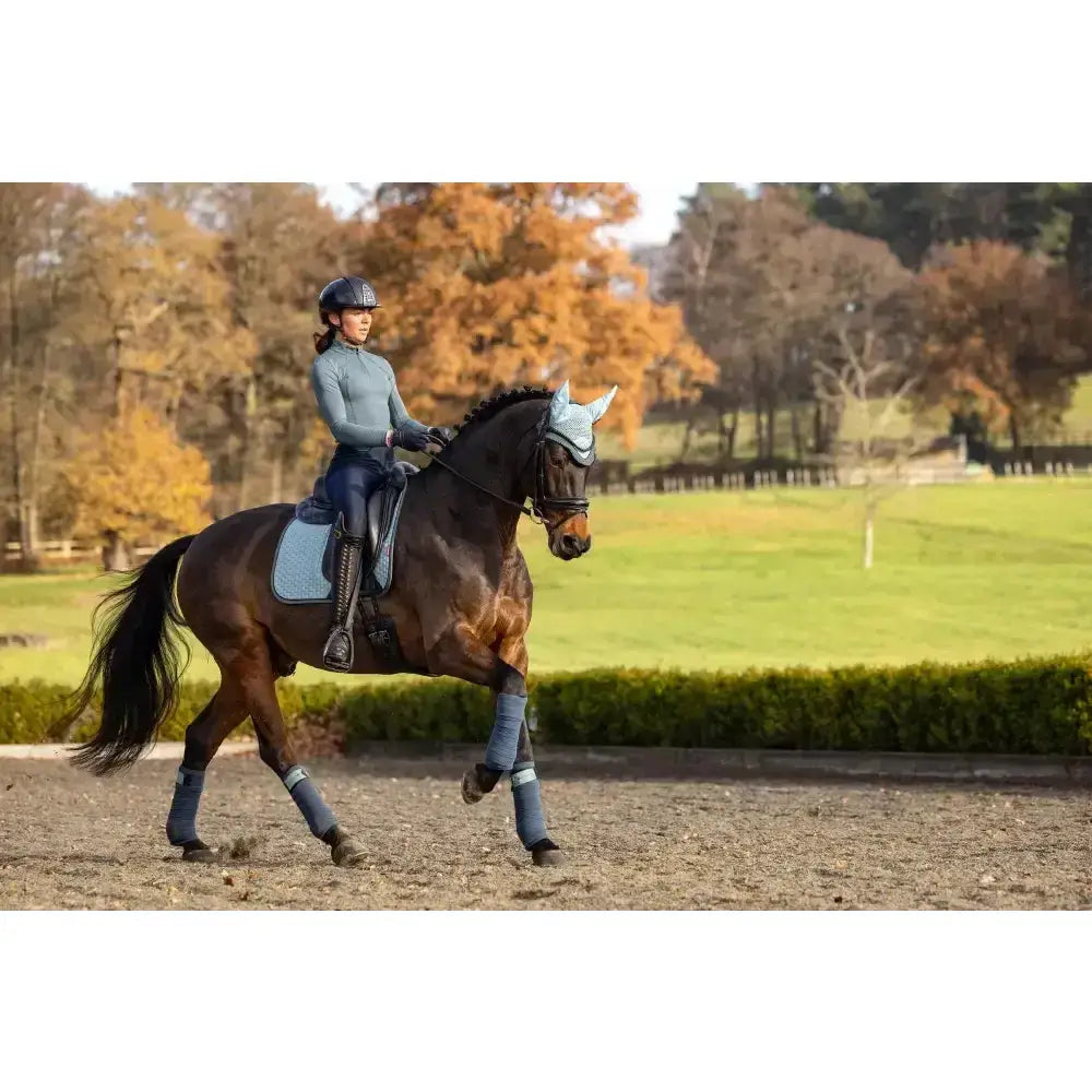 A dark brown horse wearing lemieux suede dressage square glacier in light blue with matching leg wraps and headcover