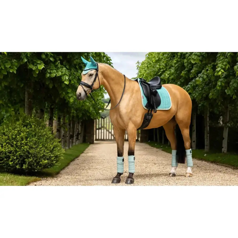A light brown horse wearing a teal lemieux suede dressage square lagoon saddle pad with matching bridle and leg wraps