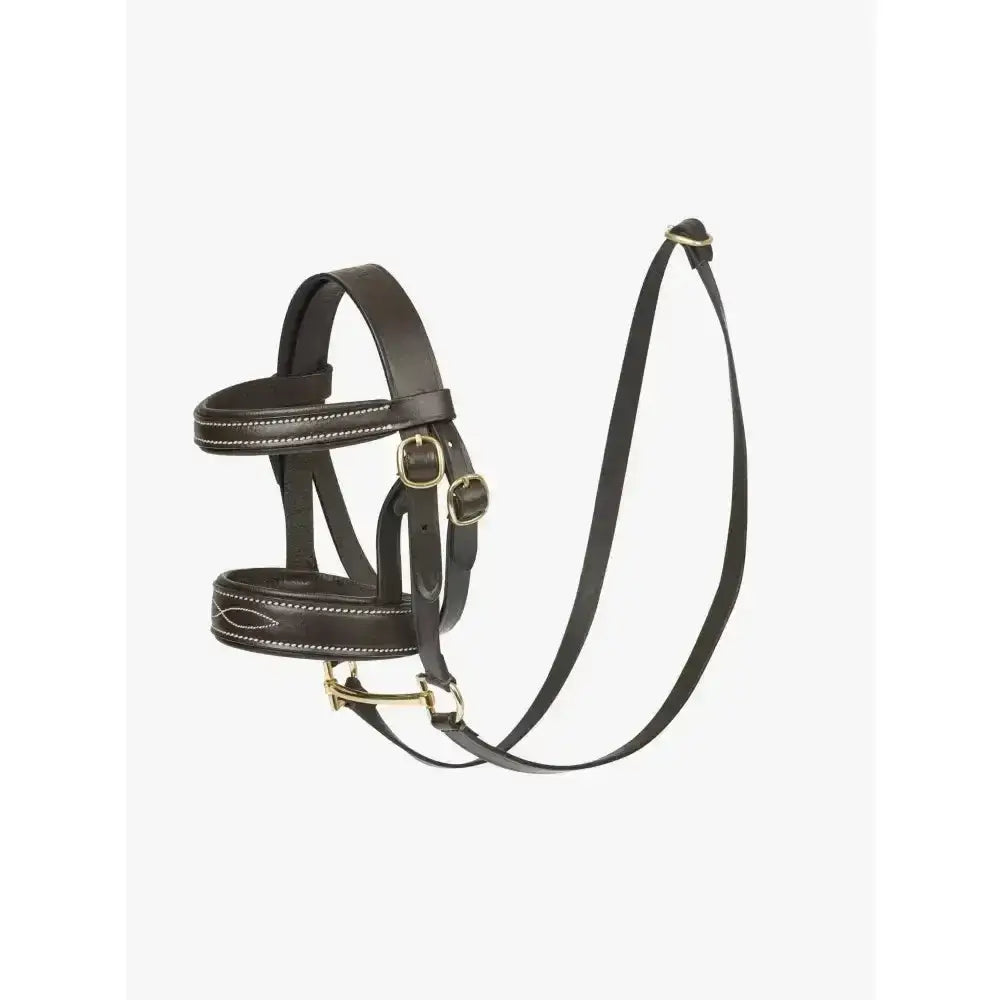 Black leather lemieux toy pony bridle with brass hardware white stitching real design bridle details visible