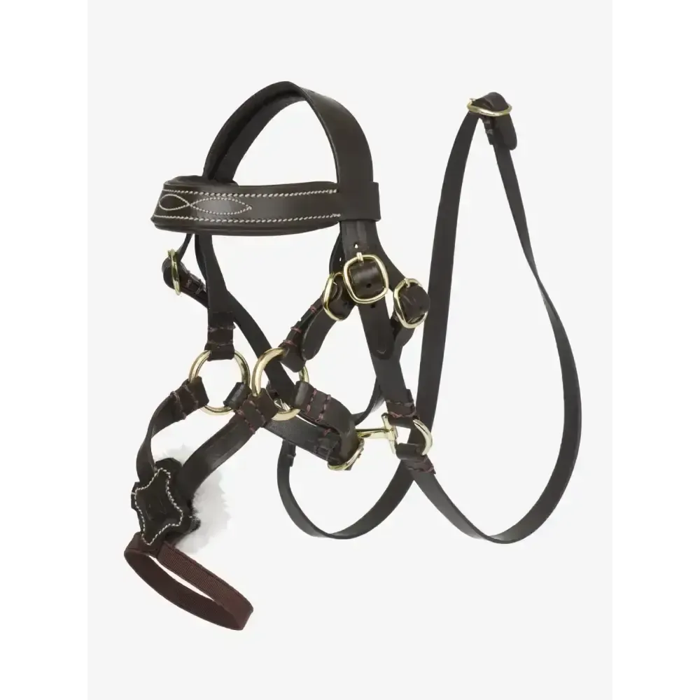 Lemieux Toy Pony Grackle Bridle Brown One Size Brown Toy Pony Accessories