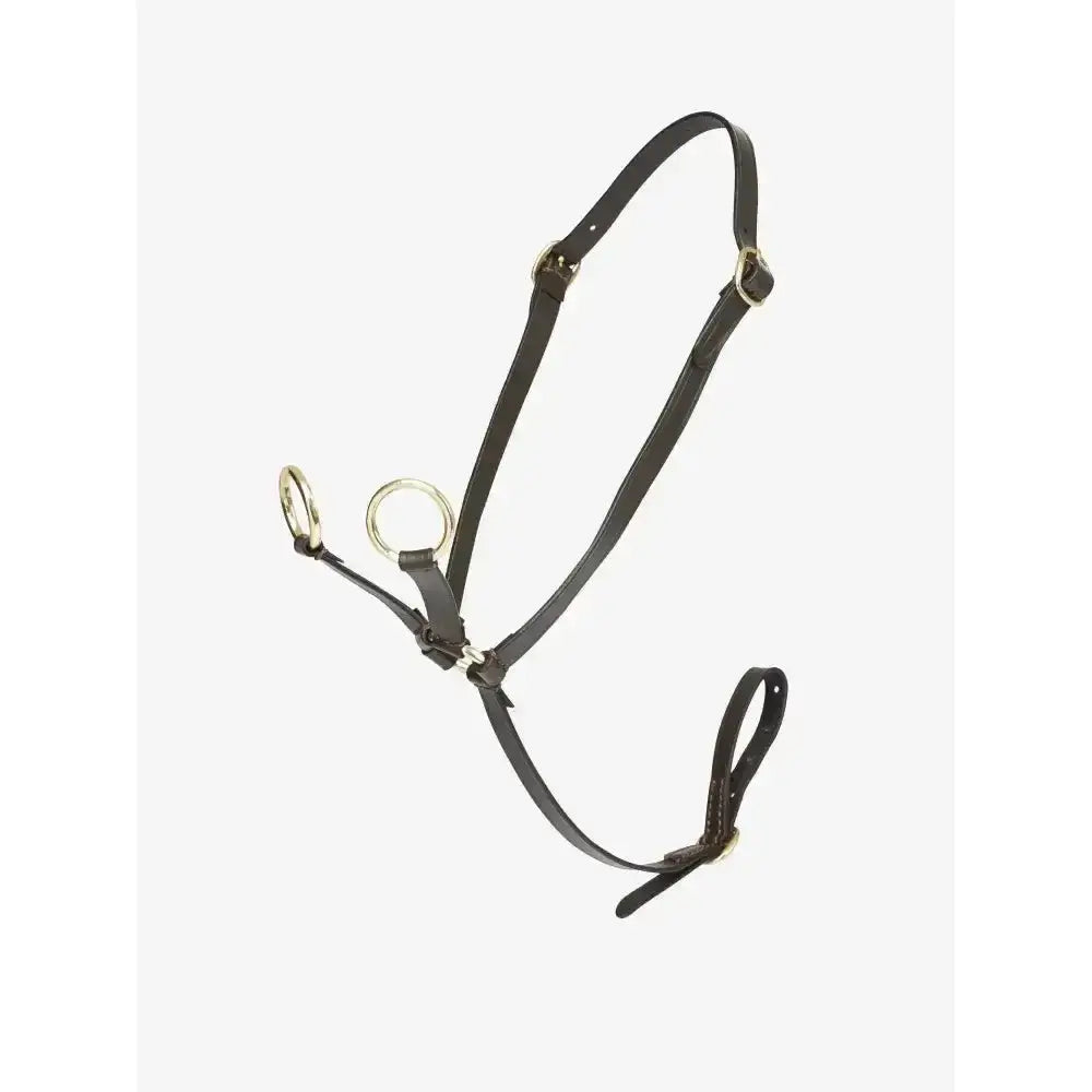 Black leather lemieux toy pony martingale brown with silver rings made from genuine high-quality leather