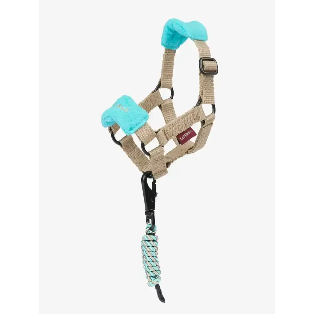 Lemieux Toy Pony Vogue Headcollar Azure One Size Azure Toy Pony Accessories