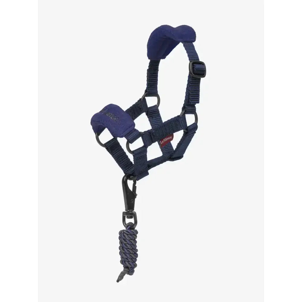 Navy blue padded lemieux toy pony vogue headcollar ink blue with adjustable straps and braided lead rope attachment