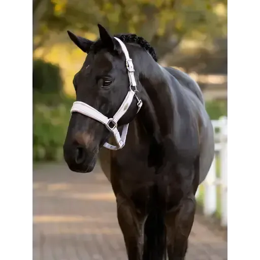 Lemieux Versailles Headcollar Lilac Lilac Pony Headcollars