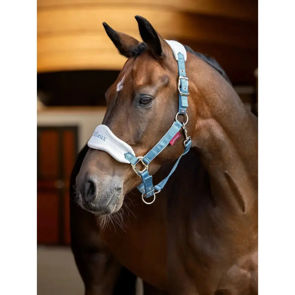 LeMieux vogue headcollar ice blue halter with adjustable metal buckles padded noseband and fleece inserts leadrope ice blue