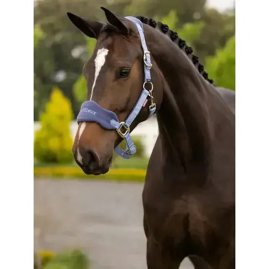 Lemieux Vogue Headcollar & Leadrope Powder Blue Powder Blue Pony Headcollar Sets